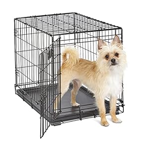 MidWest Homes for Pets 24-Inch iCrate Folding Dog Crate with Divider Panel, Leak-Proof Tray & Secure Latches – Metal Wire Kennel for Small Breeds – Portable, Durable & Easy to Assemble