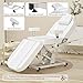 DeerDean Electric Facial Chairs for Esthetician Bed Adjustable Height & Armrests Tattoo Chair for Client 440lbs Capacity for Beauty Spa