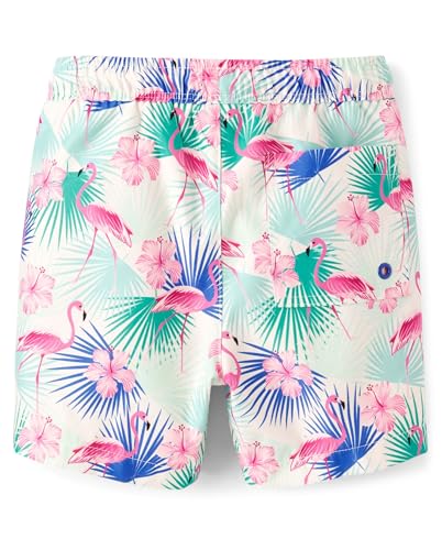 Image of Gymboree Boys and Toddler Swim Trunks