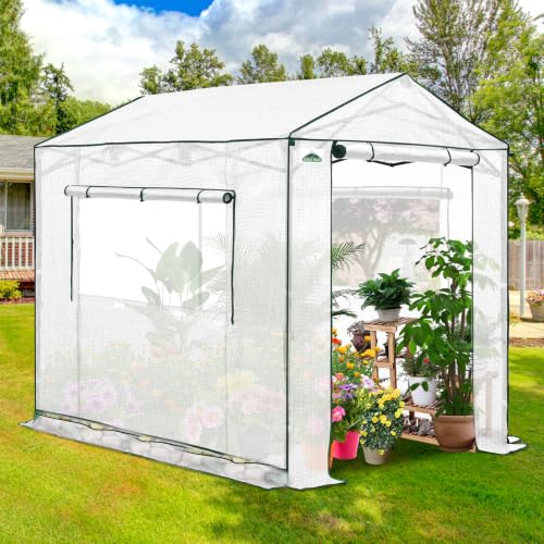 Image of EAGLE PEAK 8x6 Pop Up Walk in Greenhouse, Easy Setup, Gable Roof, White