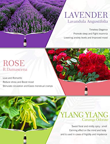 Bloemen Etherische Oliën 6x10ml, SALKING 100% Puur Essentiële oliën, Aromatherapie Geurende Oliën, Geur Olie Set voor… - Image 5