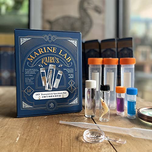 Image of DIY Transparent Specimen Kit, Fish