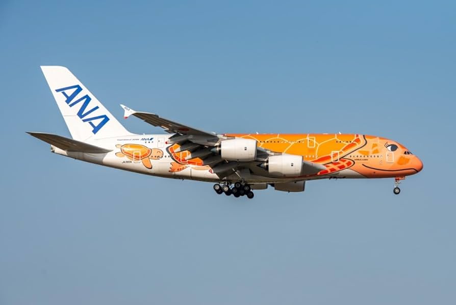 Amazon.co.jp: 飛行機 デジタル画像 A380 ANA フライングホヌ 3