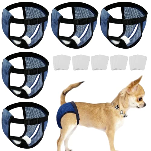 Image of Every Pet Reusable Diapers with 3 Replace Diaper,Breathable Mesh Washable Dogs Sanitary Pads,Menstruation Diapers Panties Adjustable Sanitary Briefs For Small Medium and Large Dogs(5PCS Blue,X-Large)