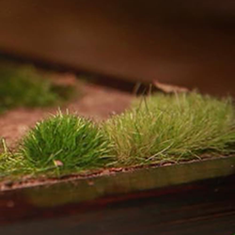 Modèle D'herbe Plantes Modélisme Statique Pour Chemin De Fer Miniature Modèle D'herbe Plantes Modélisme Statique Pour Chemin De Fer Miniature
