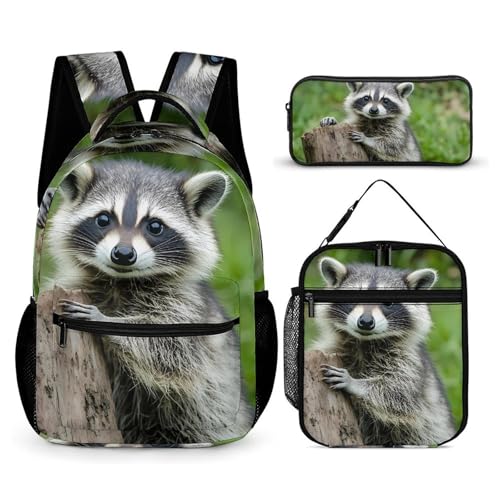 Cute Raccoon 3 PCS Backpack Set Casual Daypack with Insulated Lunch Bag & Pencil Case