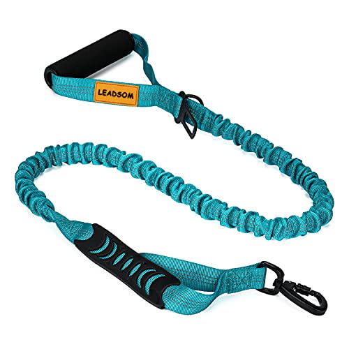 LEADSOM 6FT Highly Reflective Heavy Duty Elastic Bungee Medium and Large Dog Leash Shock Absorbing with Comfortable Padded Handle and Traffic Handle Suitable for Training