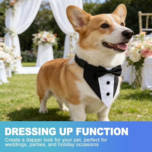 Disfraz de Tuxedo para Perros CoguZed Talla Mediana a Grande miniatura 5