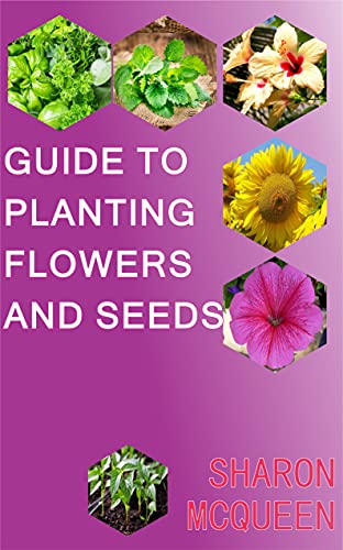 Guide to Planting Flowers and Seed