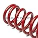 Auto Dynasty Compatible with Maxima Aluminum Scaled Coilover Kit Set (Red Spring) - A32