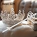 CiBiZi Fairy Princess Wands Alloy Queen King Costume Scepter Wands for Adults Pageant Role Play Wedding Halloween Prom (AX-Silver)