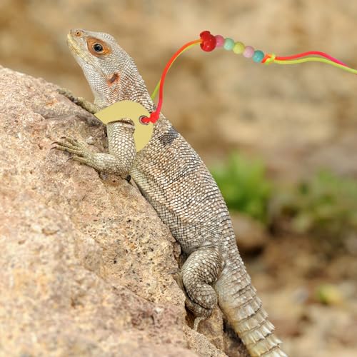 Image of Bearded Dragon Leash & Harness 3 Size, Adjustable Leather Lizard Reptiles Harness Leash for Guinea Pig,Chameleon and Other Small Animals-Yellow