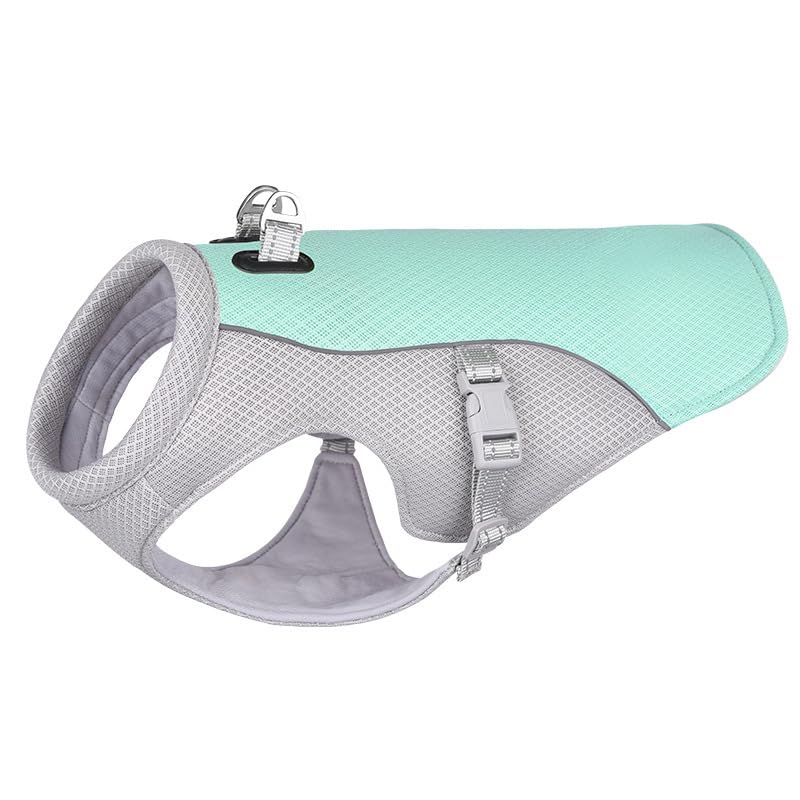 Gilet rafraîchissant pour chien par temps chaud, respirant et réglable, maintient les animaux de compagnie à l'aise pendant les activités de plein air