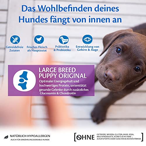 Wellness CORE Puppy 2.75 kg, Huhn – Hundefutter Trocken für große Welpen, getreidefrei, natürlich, hypoallergen, proteinreich, hoher Fleischanteil, unterstützt die Entwicklung von Gehirn und Augen