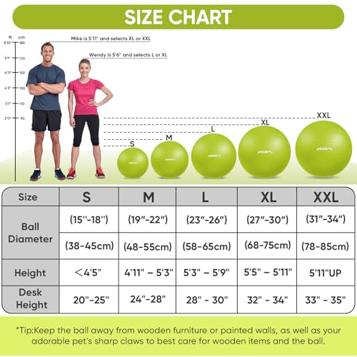 Image of APEXUP Yoga Ball, 660 lbs Anti-Burst Exercise Ball with Pump, 5 Sizes