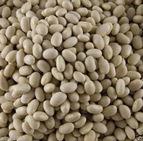 Miniatura 3 de Semillas de frijol marino, sin OMG, cultivadas orgánicamente, semillas de 14 libra, a granel