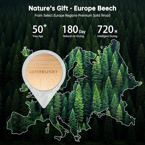 Image of Wood Car Air Freshener Vent Clip, 2-Pack Long Lasting Natural Car Freshener | Plant-Extract Fragrances from MANE France, Hidden Vent Clip & 4 Refill Pads Included