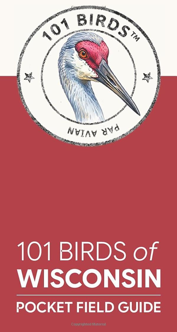 101 Birds of Wisconsin: Pocket Field Guide (101 Birds Pocket Field Guides)