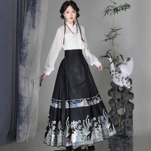 Jupe style chinois femme Hanfu Ming long vêtement quotidien traditionnel