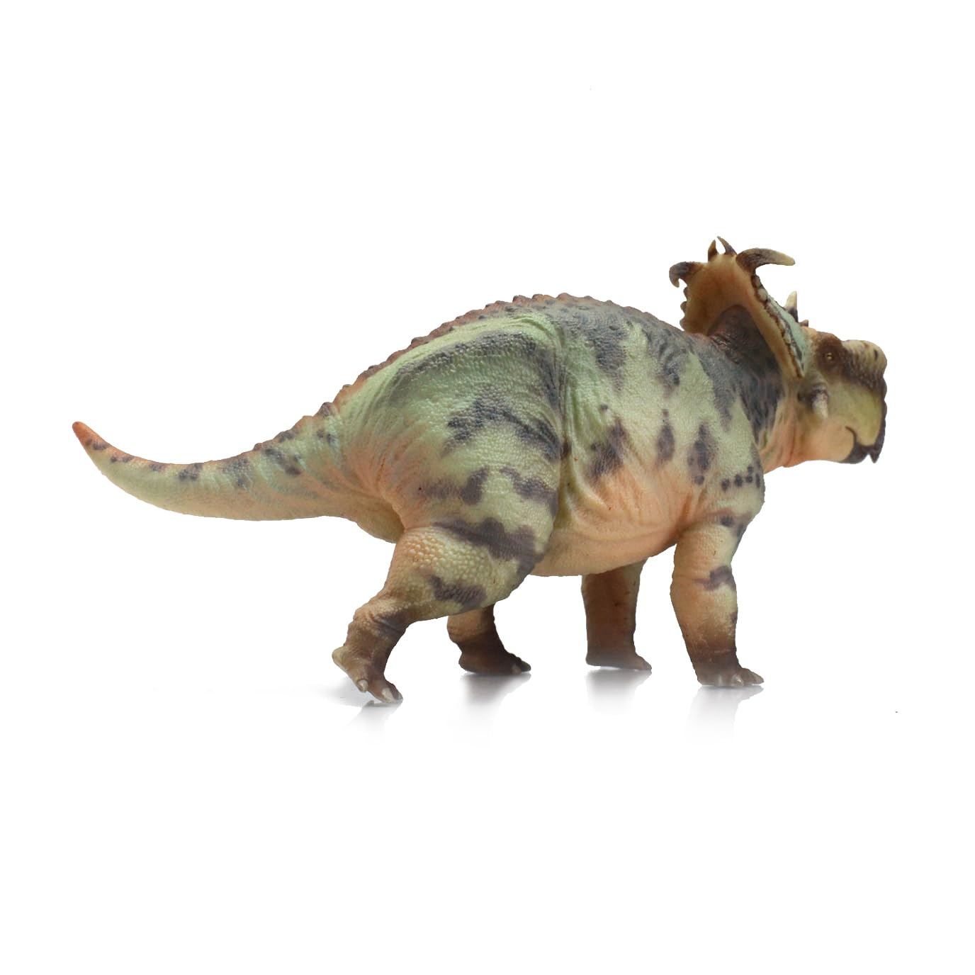 AMITD Pachyrhinosaurus (GuoSheng)