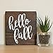 Hello Fall Small Rustic Wooden Sign 5
