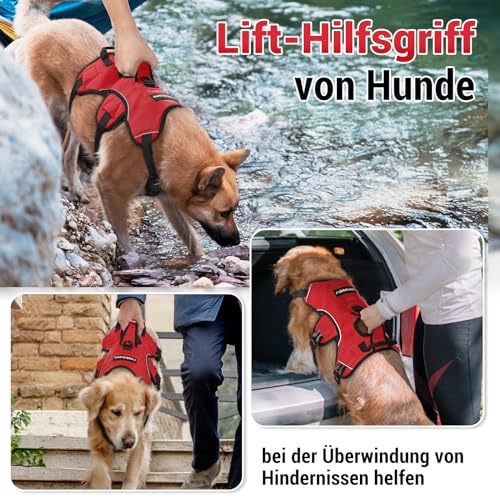 rabbitgoo Ausbruchsicheres Hundegeschirr Mittelgroße Hunde mit Griff, Anti Zug Sicherheitsgeschirr Hund Atmungsaktiv, Verstellbare Brustgeschirr, Gepolstertem Hundeweste, Panikgeschirr, Rot S