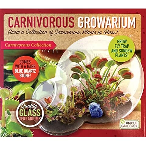 Grow Your Own Venus Fly Trap - Complete Kids Terrarium Kit to Sprout Fly Trap and Sundew Plants - Includes Everything Needed for The Plants to Thrive… Cover