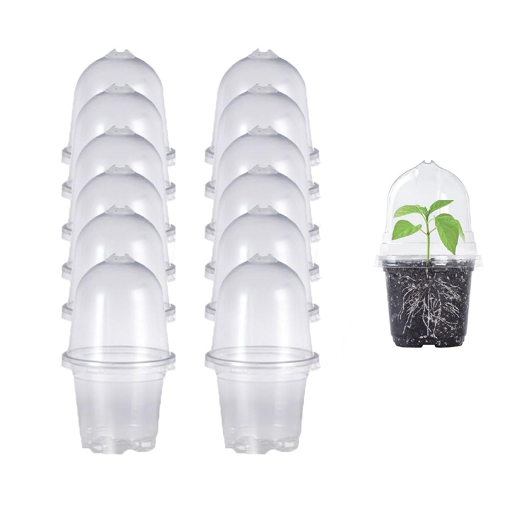 Transparente Pflanztöpfe Set – 10 Stück In 4 Größen (7,6–17 Cm), Mit Drainagelöchern, Für Drinnen & Draußen