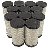 Stens Air Filter Shop Pack 100-004-12 Compatible with/Replacement for Briggs & Stratton 793569