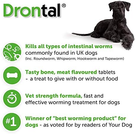 amazon drontal for dogs