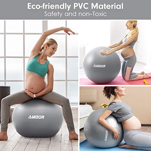 Exercise Ball (65-75CM), AMBOR Extra Thick Anti-Burst & Non-Slip Stability Balance Yoga Ball for Birthing, Pilates, Desk Chairs, Fitness, Quick Pump Included