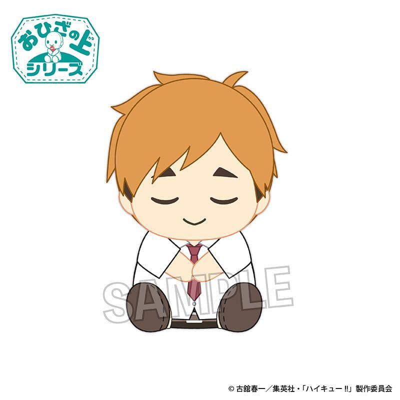 ハイキュー おひざの上シリーズ 及川 ハイキュー!! おひざの上 及川徹・影山飛雄 - メルカリ