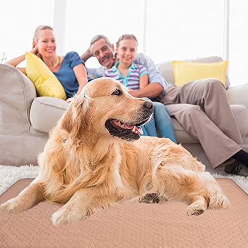 essentials puppy training pads