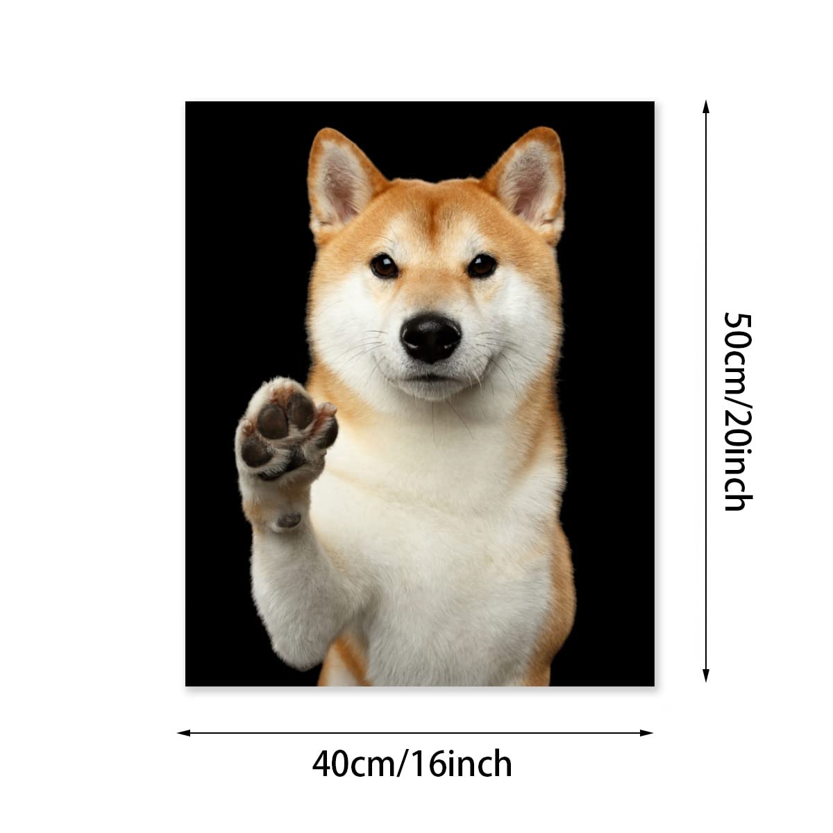 Amazon.co.jp: Hzong 数字油絵 柴犬 いぬ 犬柄 DIY絵 キャンバス油絵