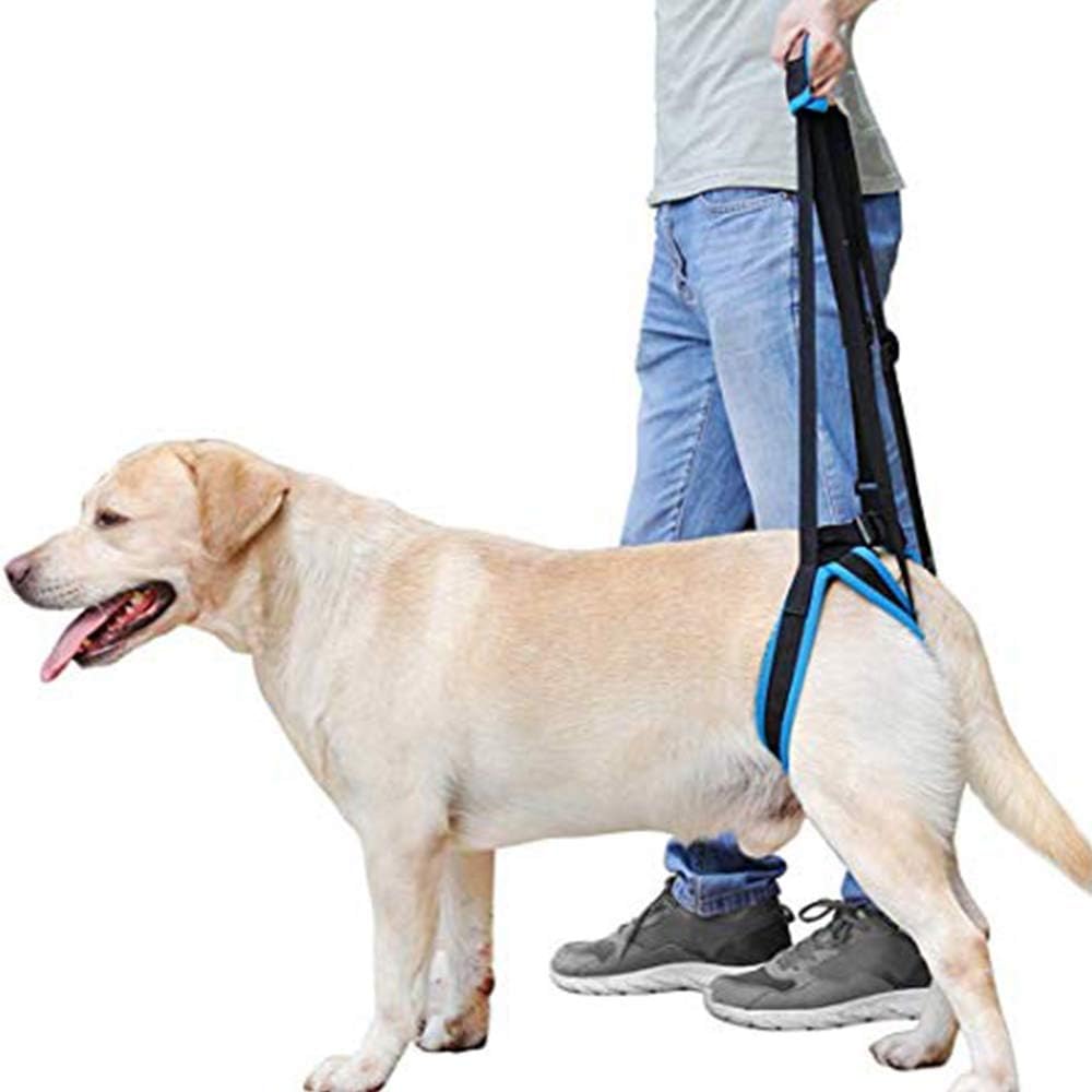DogLemi Dog Lift Harness Adjustable Dog Sling Support Harness for Back Leg Rear Lift Hip Harness for Large Medium Small Dog Hind Leg Lifting Walking Aid for Elderly Injured Arthritic (M)