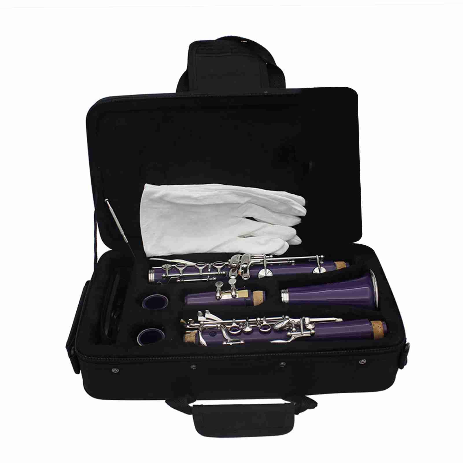 Eacam Clarinete B Plano, Instrumento de Viento de Madera ABS 17 Teclas con Estuche 10 Cañas, Paño Limpieza, Destornillador para Estudiantes Principiantes y Músicos (purple)