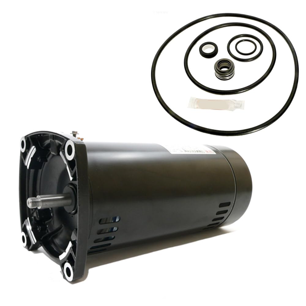 Puri Tech Replacement Motor Kit for Sta-Rite Dura-Glas 1HP P4RA6E-186L AO Smith USQ1102 with GO-KIT-38