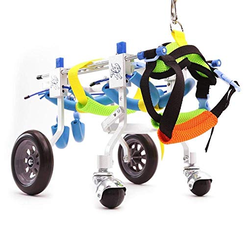 Silla De Ruedas para Perros, Best Friend: Silla De Ruedas Perros Arnés Movilidad para Perros, Carro Acero Inoxidable Ajustable 2 Ruedas Rehabilitación Patas Traseras Perros Discapacitados