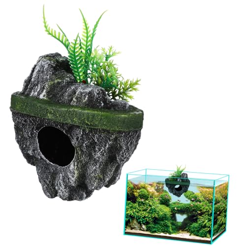 ERINGOGO Yΐ AȕVI[ig ̉B lHt p fނŐی ̂߂̎RȃVF^[