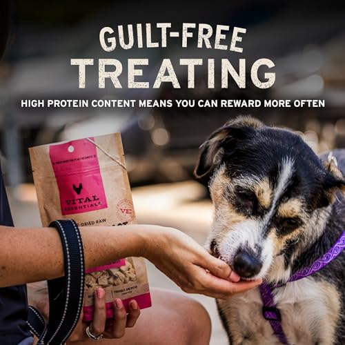 Image of Vital Essentials Freeze Dried Raw Duck Hearts Dog Treats | Single Ingredient | Premium Quality | Grain Free Treats for Dogs, 3.5 oz Bag