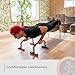 Rubberbanditz Parallettes Bars For Push Ups & Dip | Lightweight, Heavy Duty Non-Slip Parallel Bars Stand For Handstands, Calisthenics, Crossfit, Gymnastics, & Bodyweight Training Workouts (Lightweight)