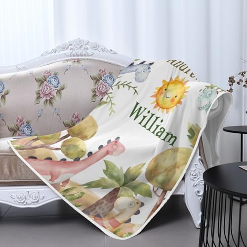 Personalized Name Dinosaurs Watercolor Jungle Sun Heat Relief Bedding, Gifts for Boys Teens,10x15Inch