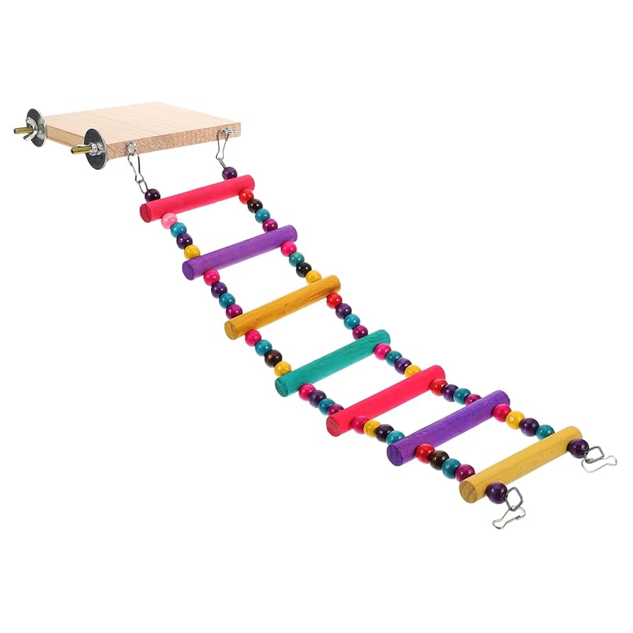 Amazon | Levemolo 鳥のはしご 踏み台 オウムのはしごおもちゃ