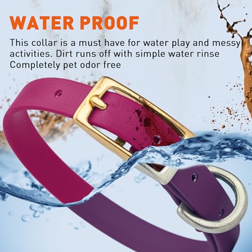 Image of Viper Biothane Heavy Duty Waterproof Dog Collar Strong Coated Nylon Webbing w /Solid Brass Hardware Odor-Proof Easy to Clean High Performance Fits Small Medium or Large Dogs, Magenta Pink