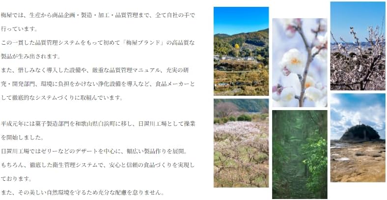 紀州調味 梅干 80粒（40粒入×2袋セット）紀州調味梅干 梅干し 個包装 はちみつ はちみつ梅 蜂蜜味 ハチミツ 業務用 【がら】 ま