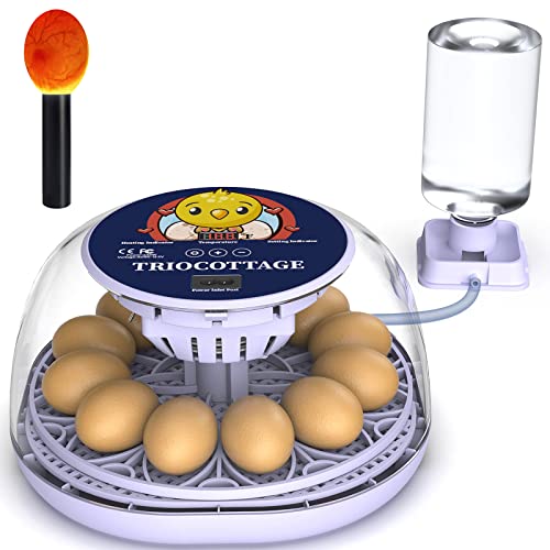 10 Best Small Chicken Egg Incubators for a Perfect Hatch! Furry Folly