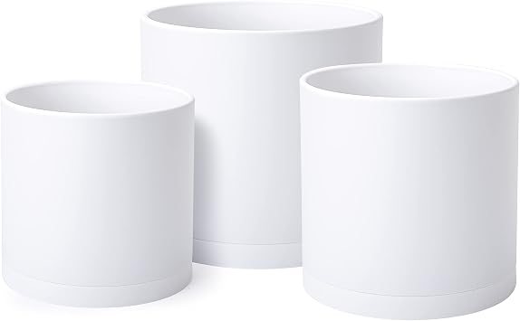 Dvine Dev 3-Pack Plastic Pots & Saucers, 6/6.5/8 in, White, 74-V-A-3