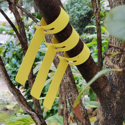 Image of HASTHIP 100-Count Plant Labels Yellow Garden Tags PVC Waterproof Plant Name Tags Plant Markers Anti-Lost Loop Markers for Orchard, Garden, Green House, 100 Labels