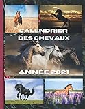  Calendrier des chevaux 2021: Chaque mois une nouvelle magnifique photo de vos animaux préférés, les chevaux
