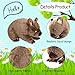 Imagen de lilizzhoumax Wombat Peluche 40cm/16